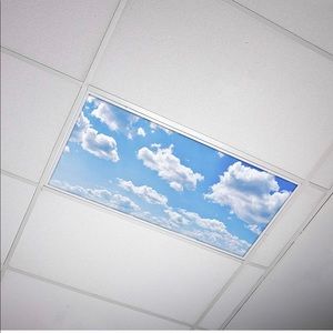 Octo Lights Fluorescent Light Covers for Classroom and Office